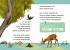 Tierkinder im Wald - Bild 2