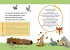 Tierkinder im Wald - Bild 3