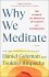 Why We Meditate - Bild 2