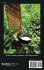 Highly Efficient Methods for Sulfur... - Bild 2