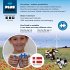 Plus-Plus® 9604262 - Rainbow, Tube,... - Bild 4