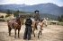 Yellowstone - Staffel 2 - Bild 3