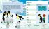 Emperor Penguin (Young Zoologist) - Bild 2