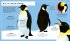 Emperor Penguin (Young Zoologist) - Bild 4