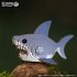 EUGY 650019 - Shark, Hai,... - Bild 7