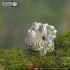 EUGY 650006 - Tricera, Triceratops,... - Bild 6
