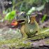 EUGY 650024 - Dragon, Drache,... - Bild 7