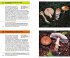 Essbare Pilze und ihre giftigen... - Bild 4