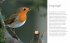 Vögel zu Gast im Garten - Beobachten,... - Bild 5
