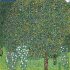 Gustav Klimt - Nature 2023 - Bild 2