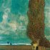 Gustav Klimt - Nature 2023 - Bild 5