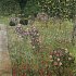Gustav Klimt - Nature 2023 - Bild 8