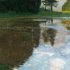 Gustav Klimt - Nature 2023 - Bild 10