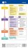 MEDI-LEARN Card: C-ABCDE - Bild 2