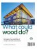 2022 INTERNATIONAL MASS TIMBER REPORT - Bild 2