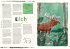 Unser wildes Zuhause - Bild 4