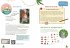 Advent, Advent, die Tanne brennt - Bild 4