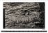 Boden-Seen-Sucht (Wandkalender 2023 DIN... - Bild 13