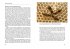 Heilkraft aus dem Bienenstock - Bild 3
