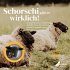 Schorschi und das bunte Familiending - Bild 3