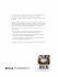 Visual Methodologies - Bild 2