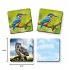 Vogelwild - Memospiel - Bild 4