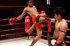 Muay Thai - Grundtechniken, DVD-Video - Bild 4