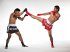 Muay Thai - Konter gegen Faust- und... - Bild 4