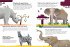 200 Q&as about Animals - Bild 5