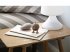 Hoptimist Soft Bumble S Choko - Bild 2