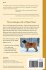 The Life and Times of Le Bronco von der... - Bild 2