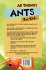 All Things Ants For Kids - Bild 2