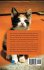 Margie's Forever Home For Alice - Bild 2
