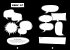 Snippets - Bild 11