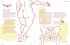 Orgasmic Woman - Bild 6