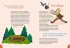 Schweden for kids - Bild 5