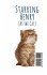 Henry The Cat - Bild 2