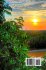 Ruben's Tales from the Amazon Jungle - Bild 2