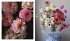 A Sweet Floral Life - Bild 12