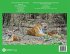 Kingdom of Tigers - Tadoba - Bild 2