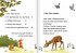 Was fressen die Tiere im Wald? - Bild 4