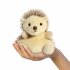 PP Hedgie Hedgehog Plush Toy - Bild 5