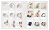 Zimtschnecke und Dinkelbrot - Bild 12