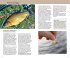 Die besten Tipps & Tricks für Angler - Bild 5