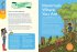 Nature Smarts Workbook, Ages 10-12 - Bild 4