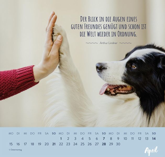 Für Hundefreunde 2024 von Groh Verlag Kalender portofrei bestellen