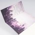 Where Summer Stays / Festival Bd.1 - Bild 3