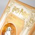 Harry Potter: So wird dein Leben magisch - Bild 8