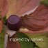 Boompods Zero Burgundy - Bild 6