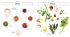 Vegan One Pot - Bild 2